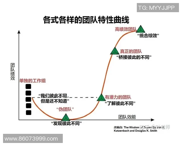 杭州排球队的团队协作与战术配合深度分析与探讨
