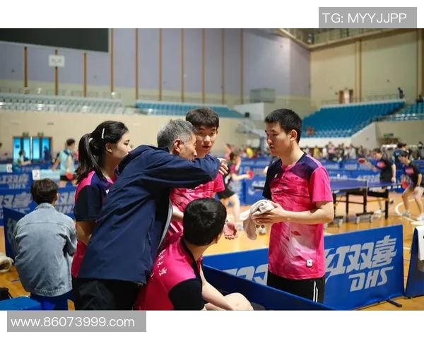 乒乓球的魅力：深入了解成都乒乓球队的团队合作与精神风貌