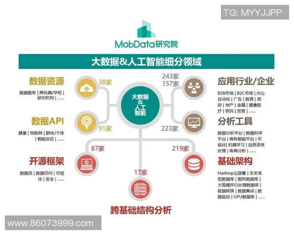 南京网球队的阵地战革新探索与实践全景分析